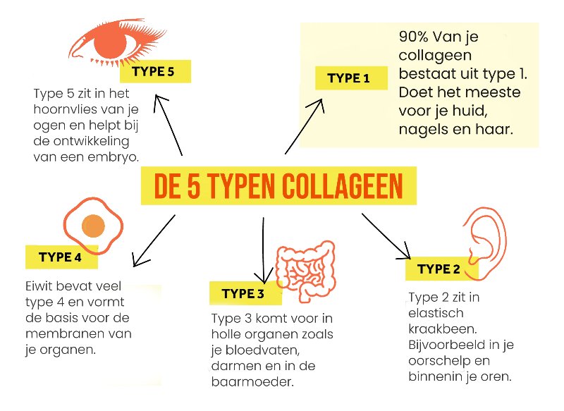 Een informatief overzicht van de 5 verschillende typen collageen