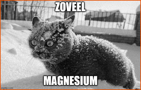 Een ondergesneeuwde kat met grote ogen zit in een hoopje sneeuw