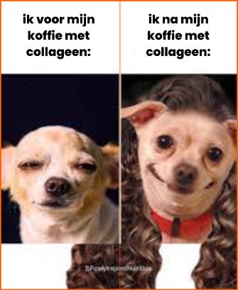 Een hond die heel verdrietig en daarna heel blij kijkt