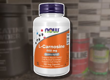 500 MG L-Carnosine supplement