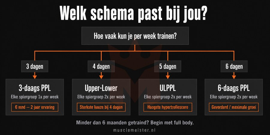Beslisboom voor het juiste trainingsschema: 3-daags PPL, upper-lower, ULPPL of 6-daags PPL op basis van beschikbare trainingsdagen