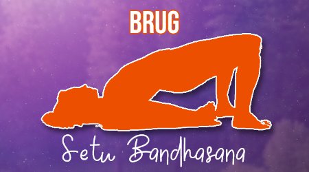 Illustratie van de Yoga Brug Setu Bandhasana houding