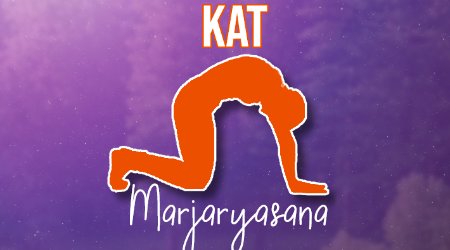 Illustratie van de Marjaryasana Kat yoga houding